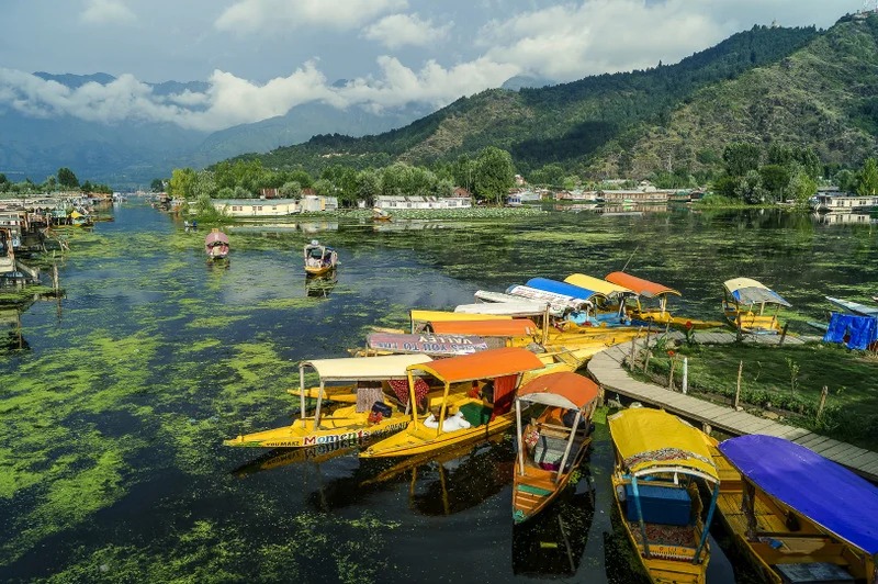 Kashmir