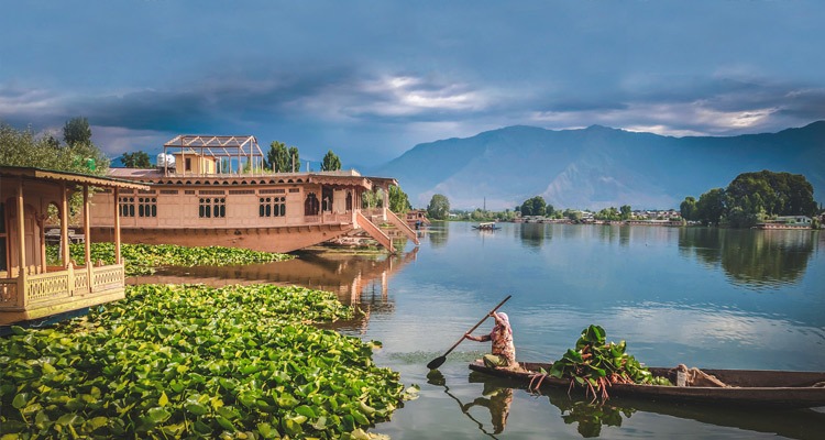 Kashmir