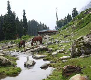 Himachal & Kashmir Packages